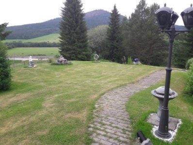 Selgers sommerbilde. Galleribilde