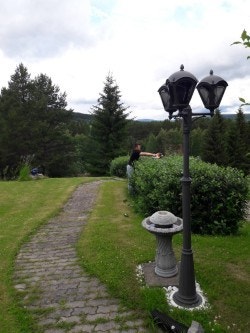 thSelgers sommerbilde. Galleribilde