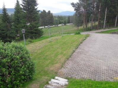 Selgers sommerbilde. Galleribilde
