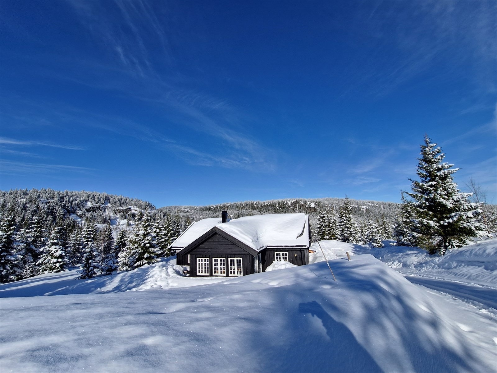 Selgers private bilder Galleribilde