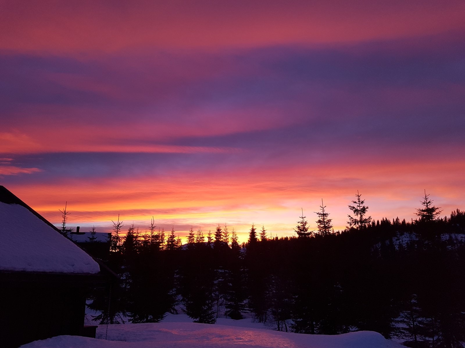 Selgers private bilder Galleribilde