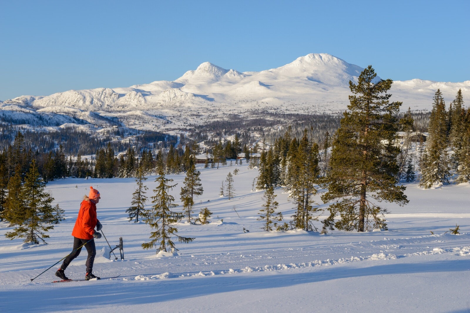 Løypenettet fra hyttefeltet er tilknyttet løypenettet på Gaustablikk. Galleribilde