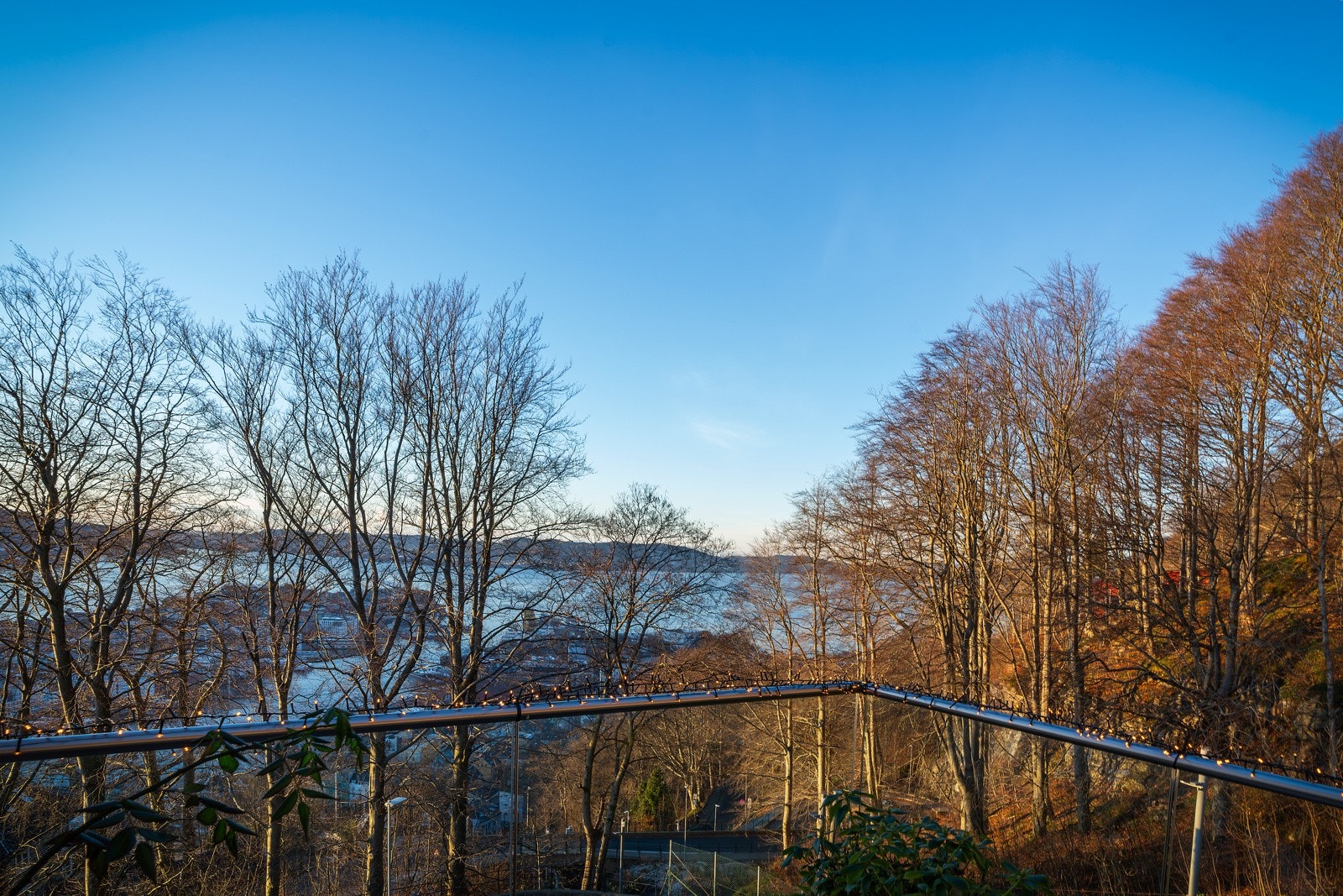 - Fantastisk utsikt - Galleribilde