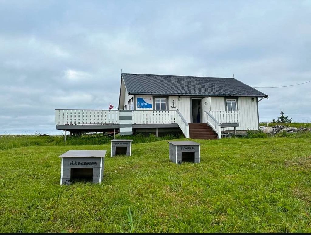 Vegaøyan har fått verdensarv status pga mennersker sitt samspill med ærfugl. På Kilværet er det mulighet å være lønnet ærfuglvokter på våren. Duna som man høster fra reder til ærfugl kalles edderdun og er meget eksklusiv. Galleribilde