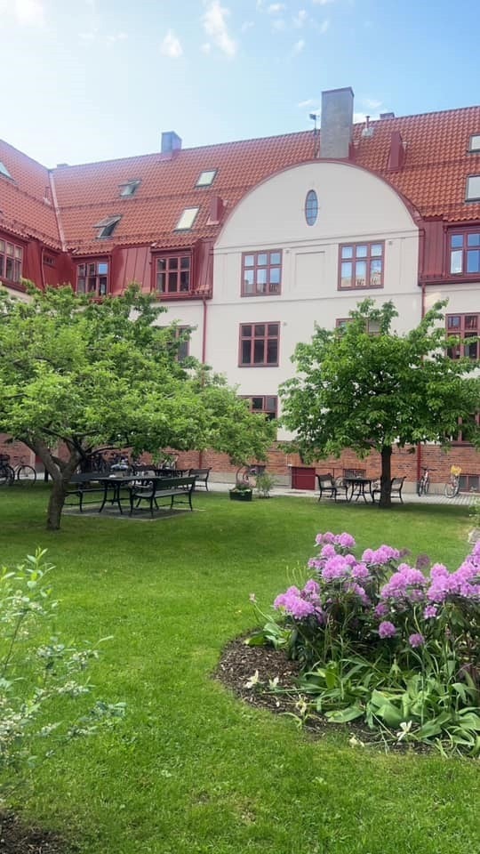 Private sommerbilder av den flotte gården. Galleribilde