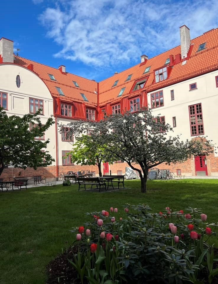 Private sommerbilder av den flotte gården. Galleribilde