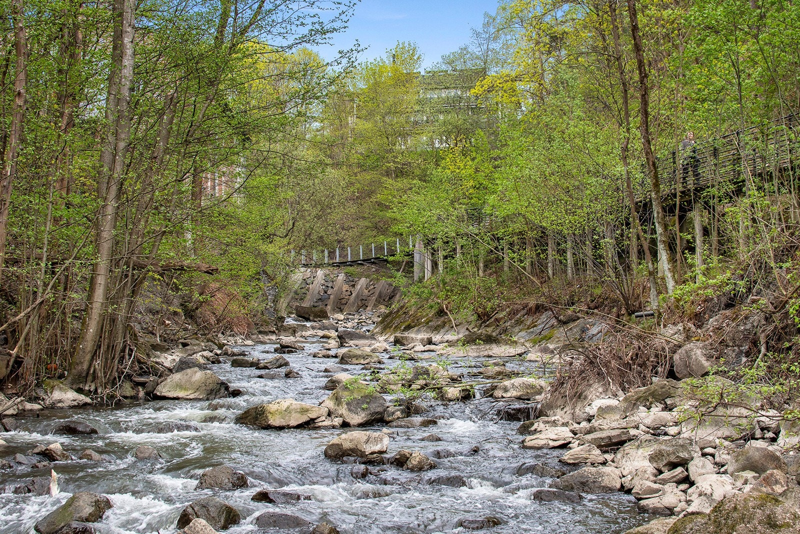 Alnaelva Galleribilde