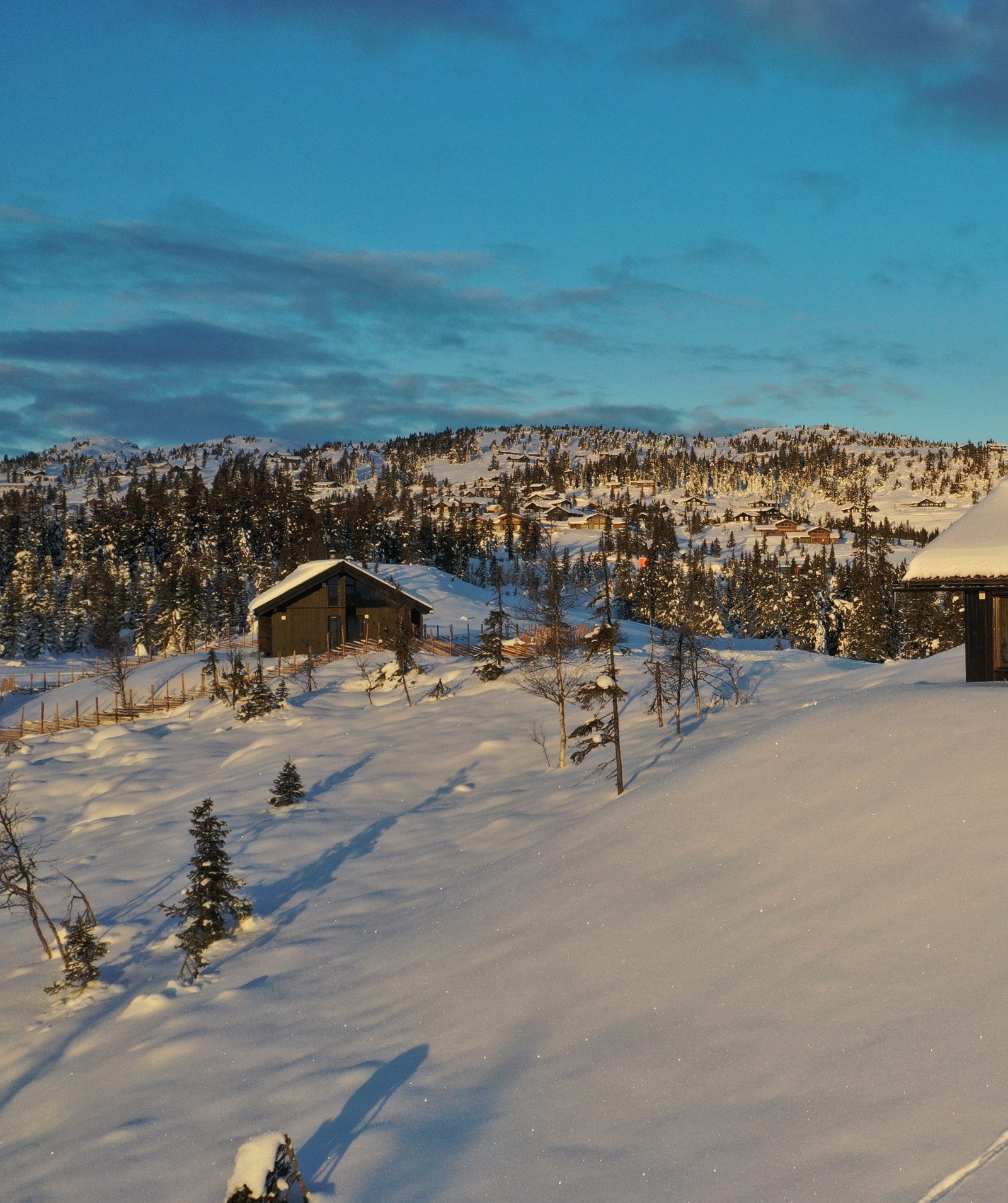 Tomt 20 Galleribilde