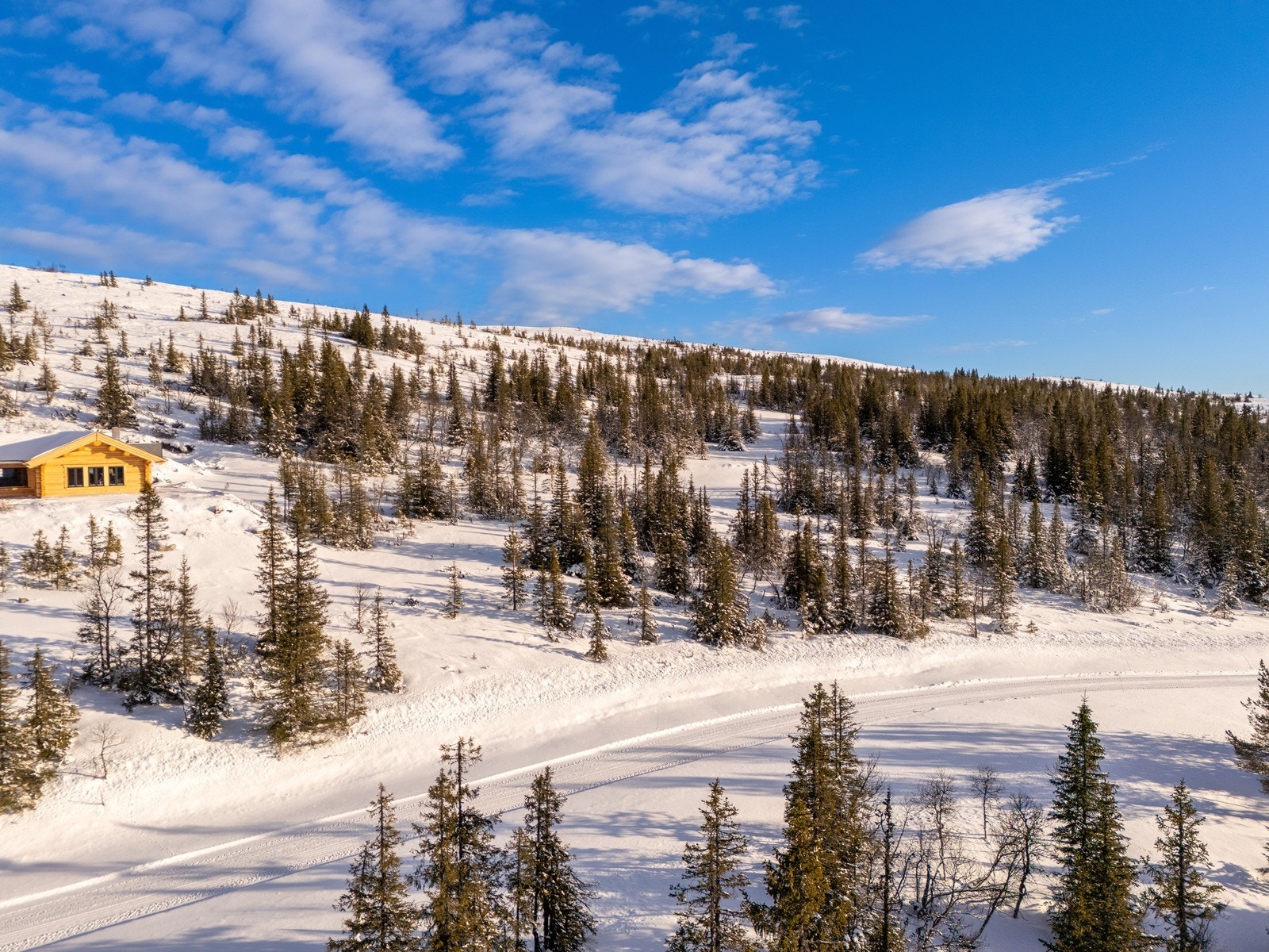 Tomten ligger i et nyere attraktivt hyttefelt. Galleribilde