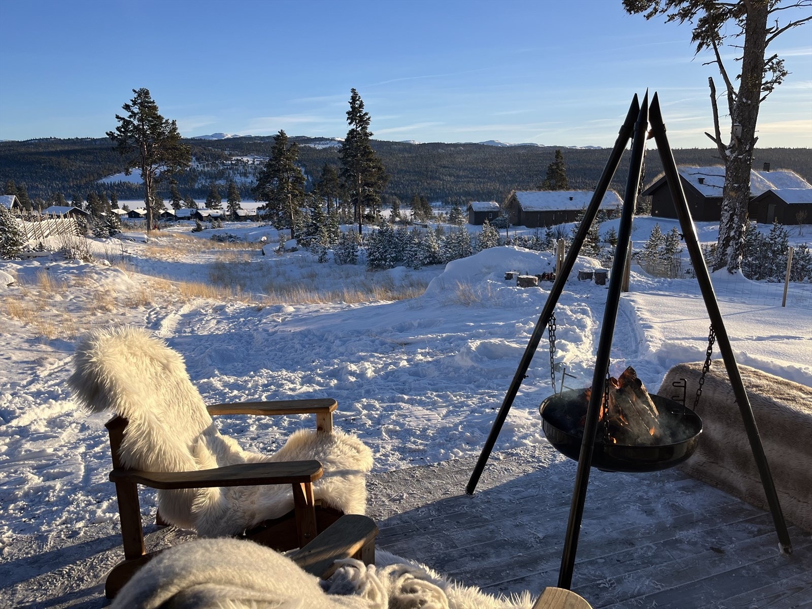 Vinterbilder tatt av eier Galleribilde