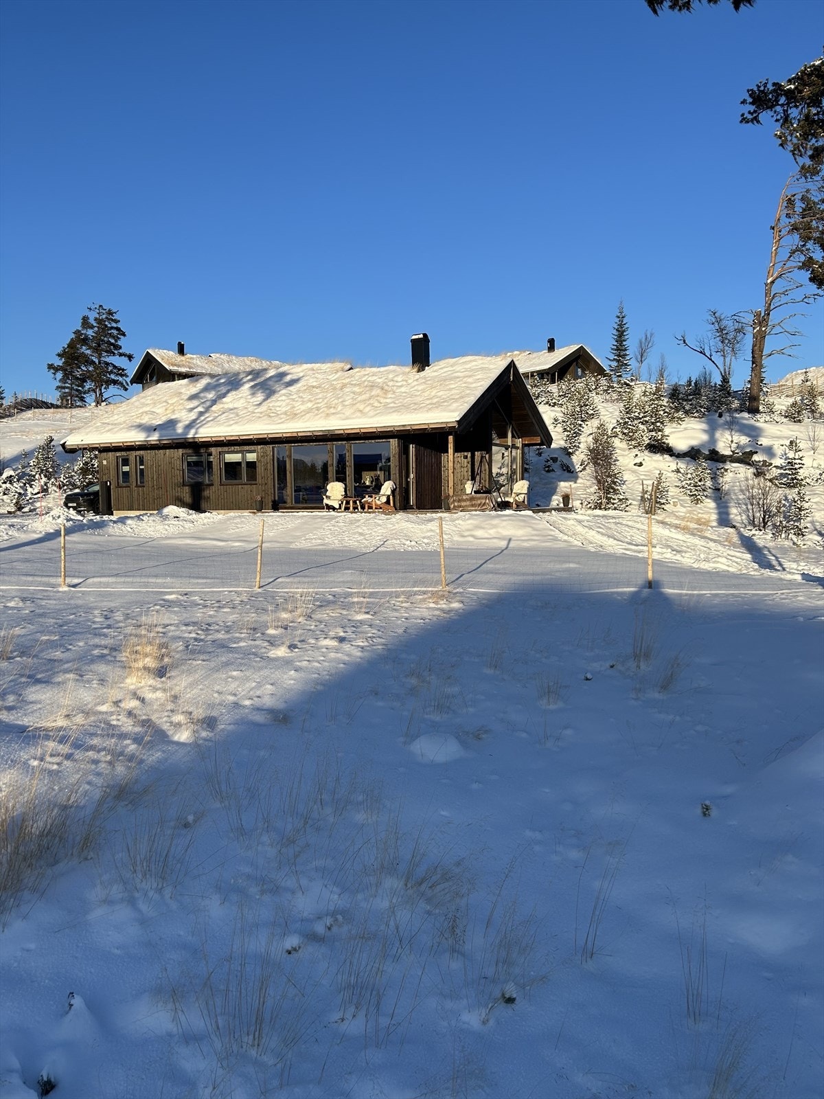 Vinterbilder tatt av eier Galleribilde