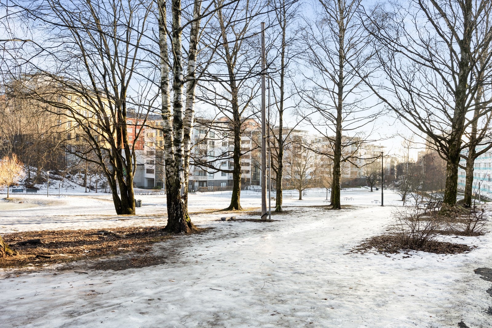 Det er flotte parkområder i nærområdet. Galleribilde