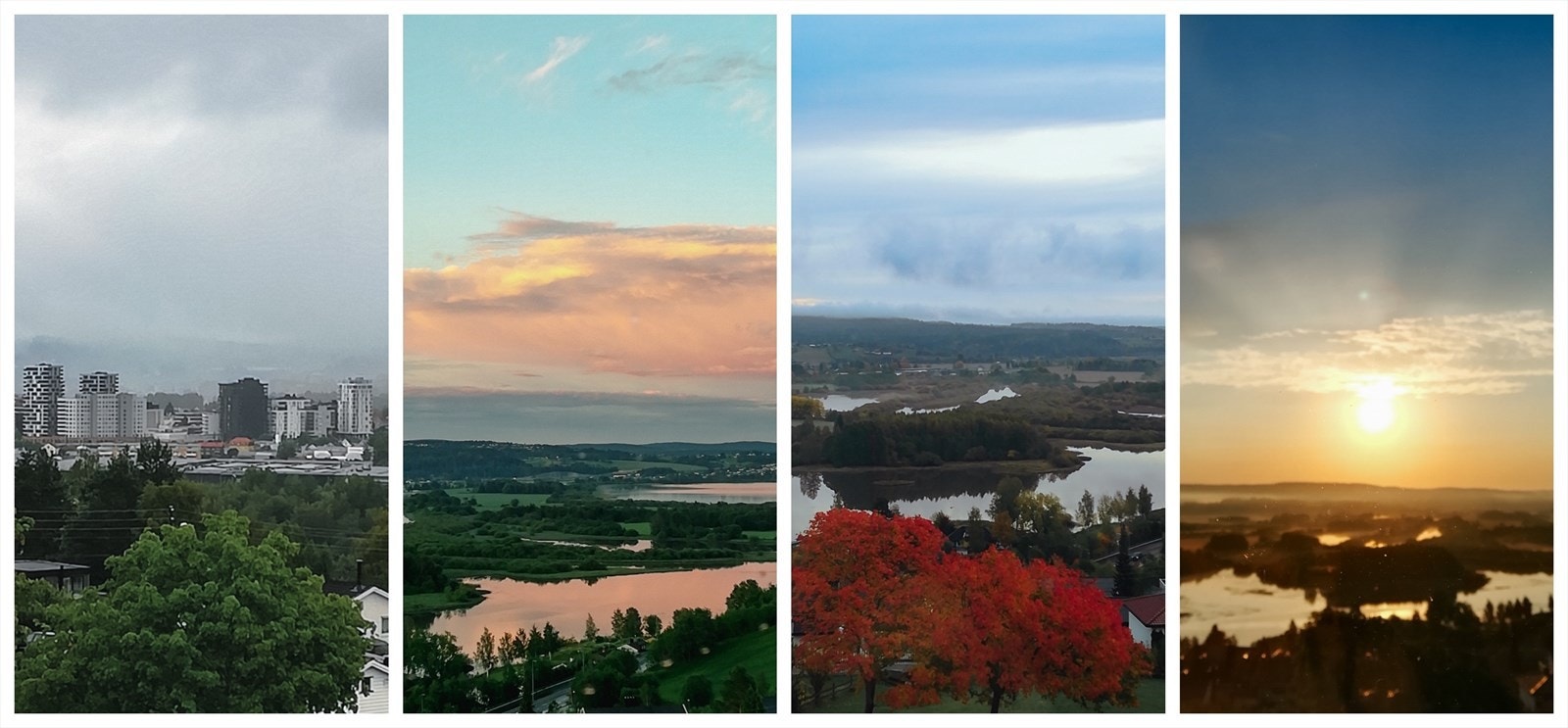 Selgers bilder. Galleribilde