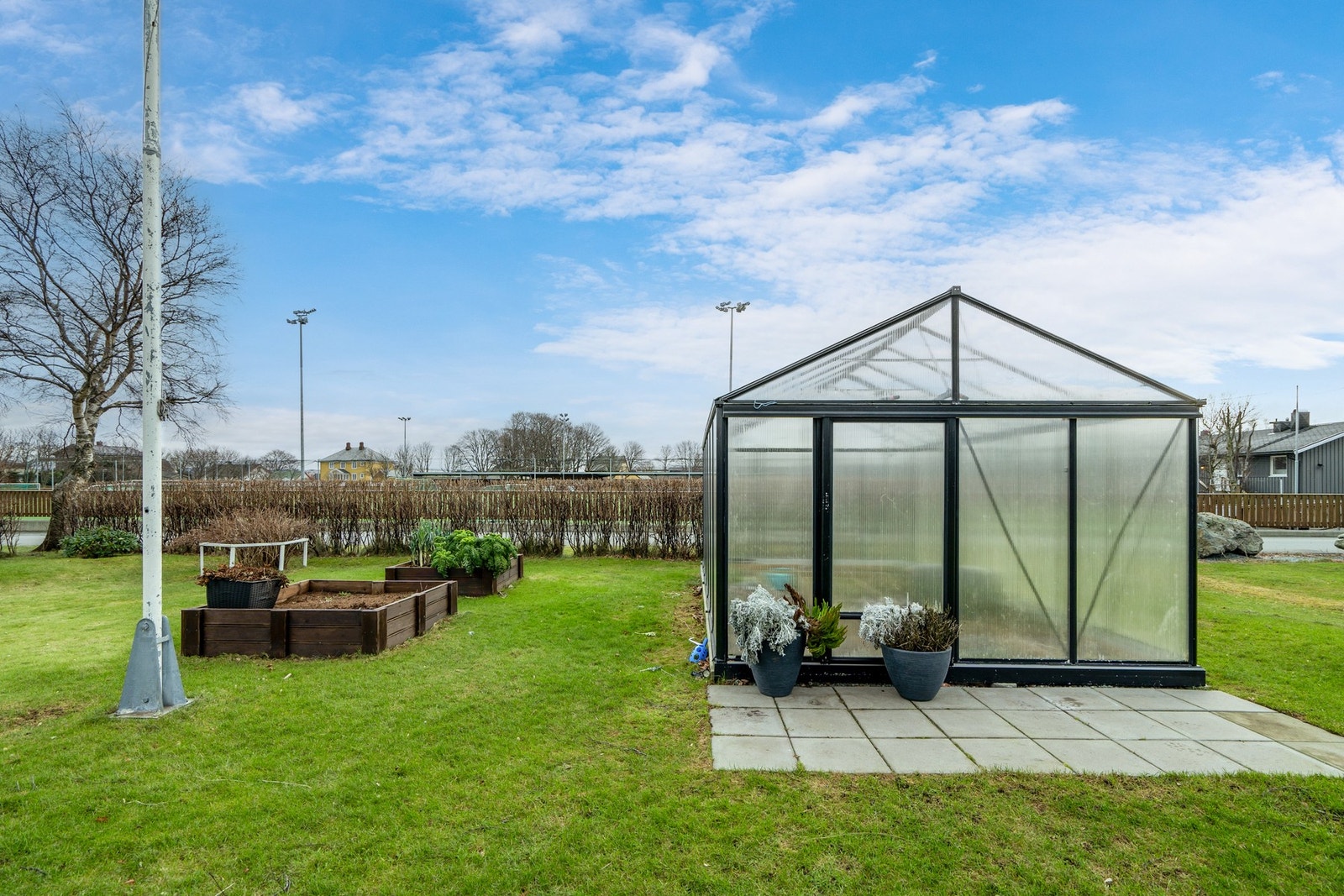 Drivhus Galleribilde