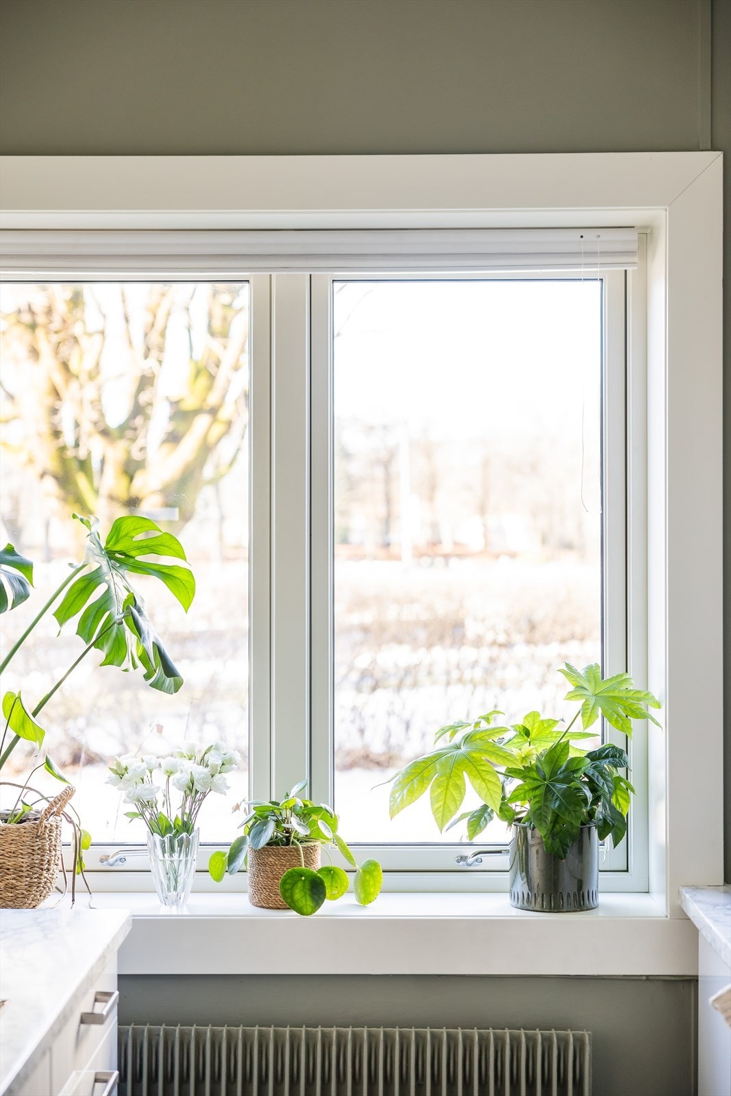 Hyggelig kjøkkenvindu med rolig gangvei utenfor! Galleribilde