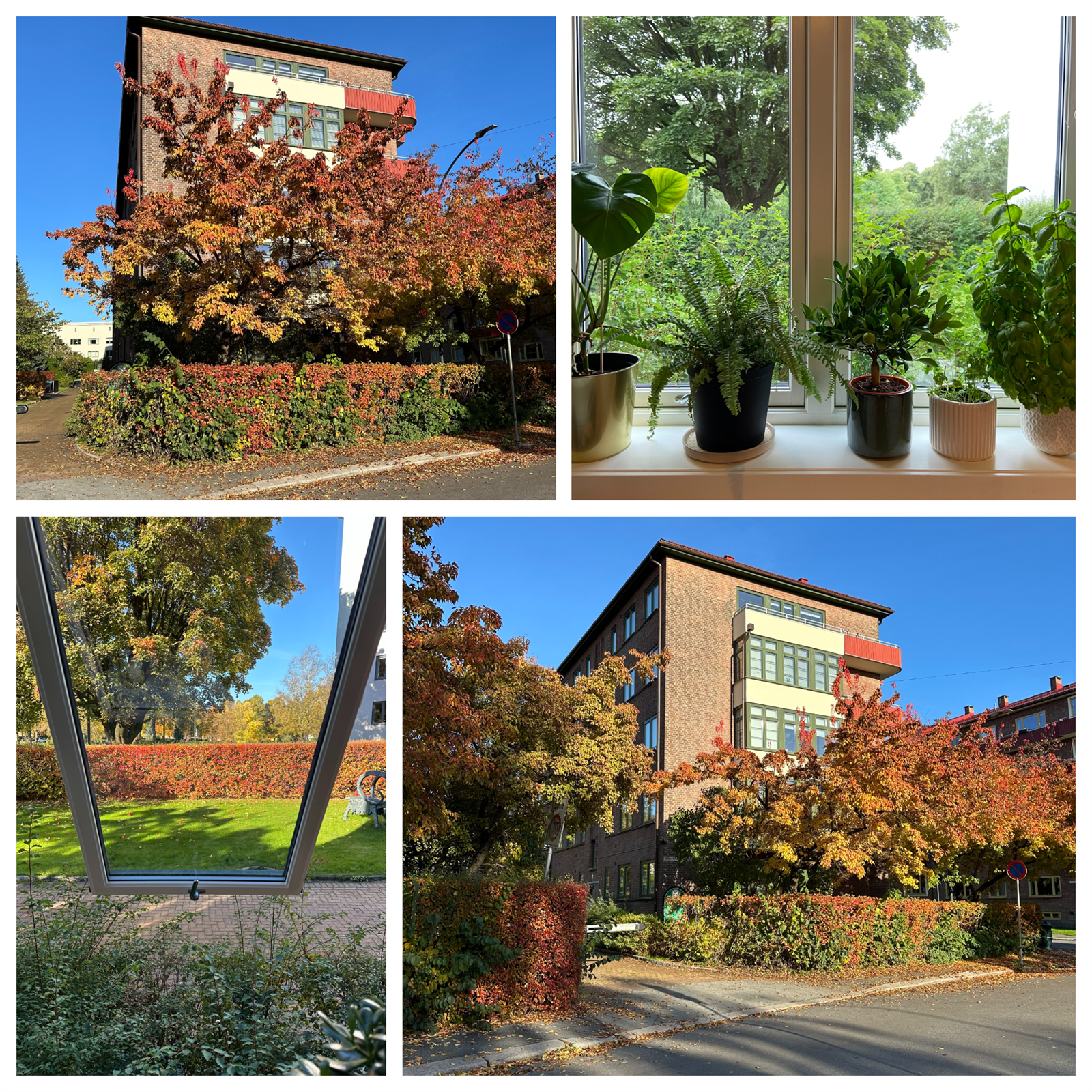 Rett utenfor vinduet finner du frodige og vakre omgivelser! Galleribilde