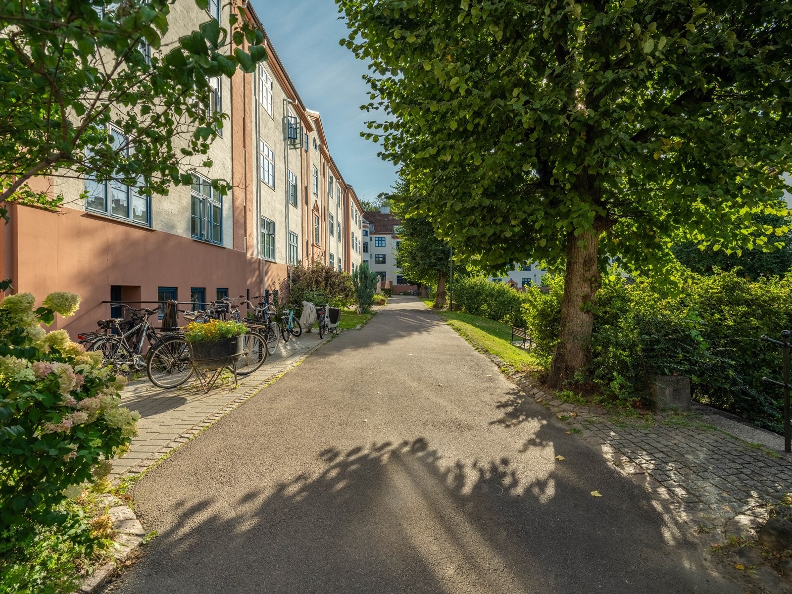 Det er sykkelparkering ved inngangspartiet. Galleribilde