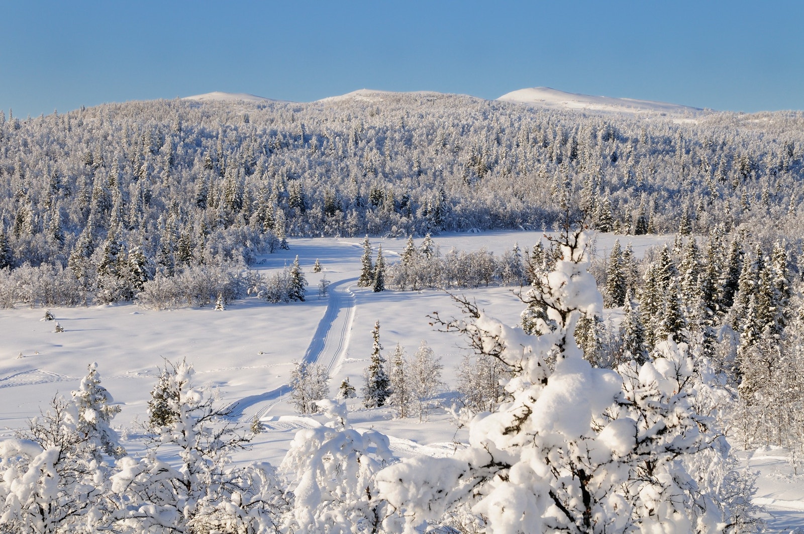 Området har mange flotte skiløyper Galleribilde
