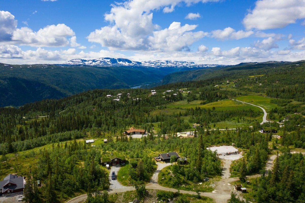 Dronefoto av tomten og område rundt Galleribilde