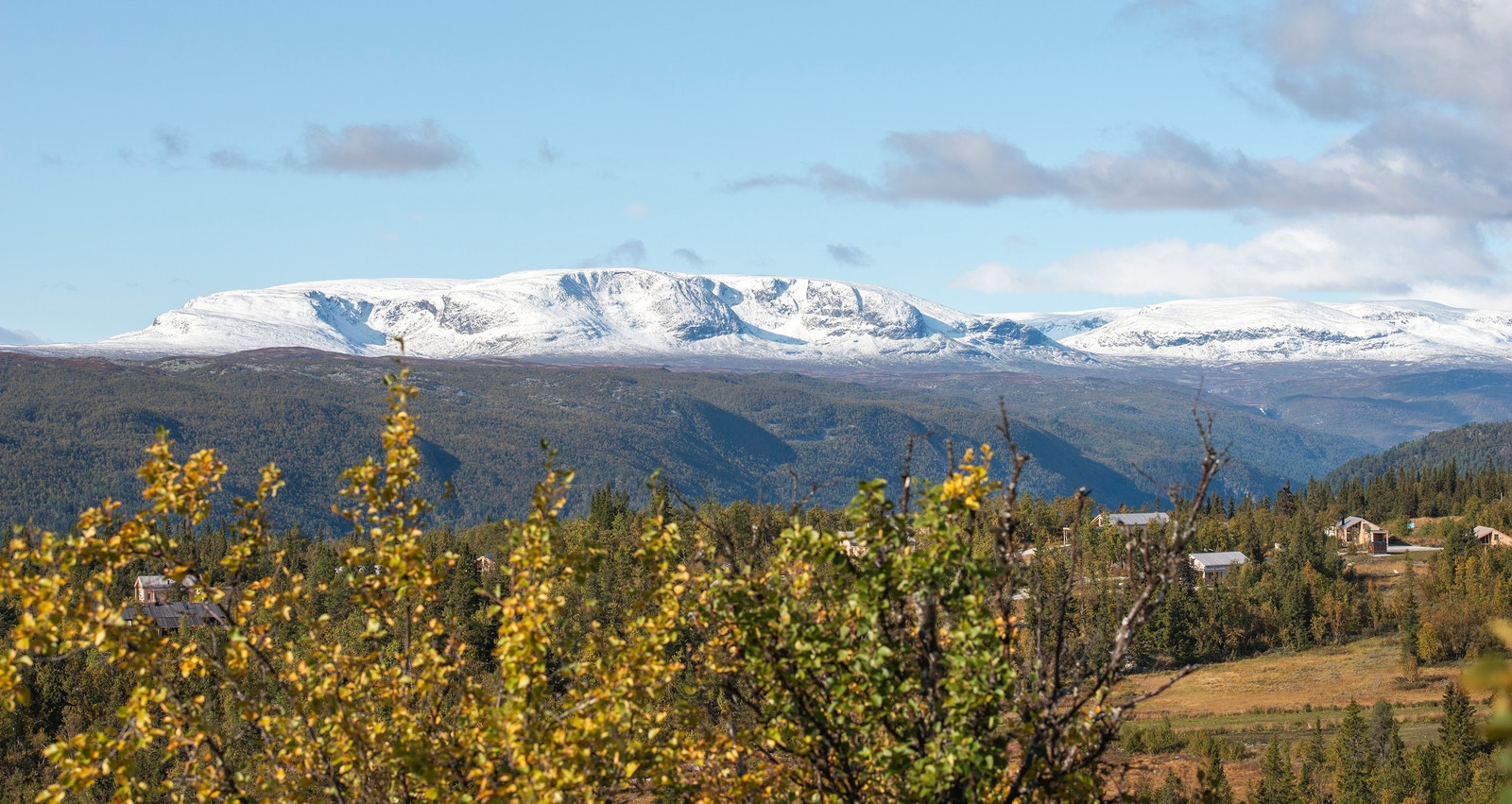 Utsikt mot hallingskarvet Galleribilde