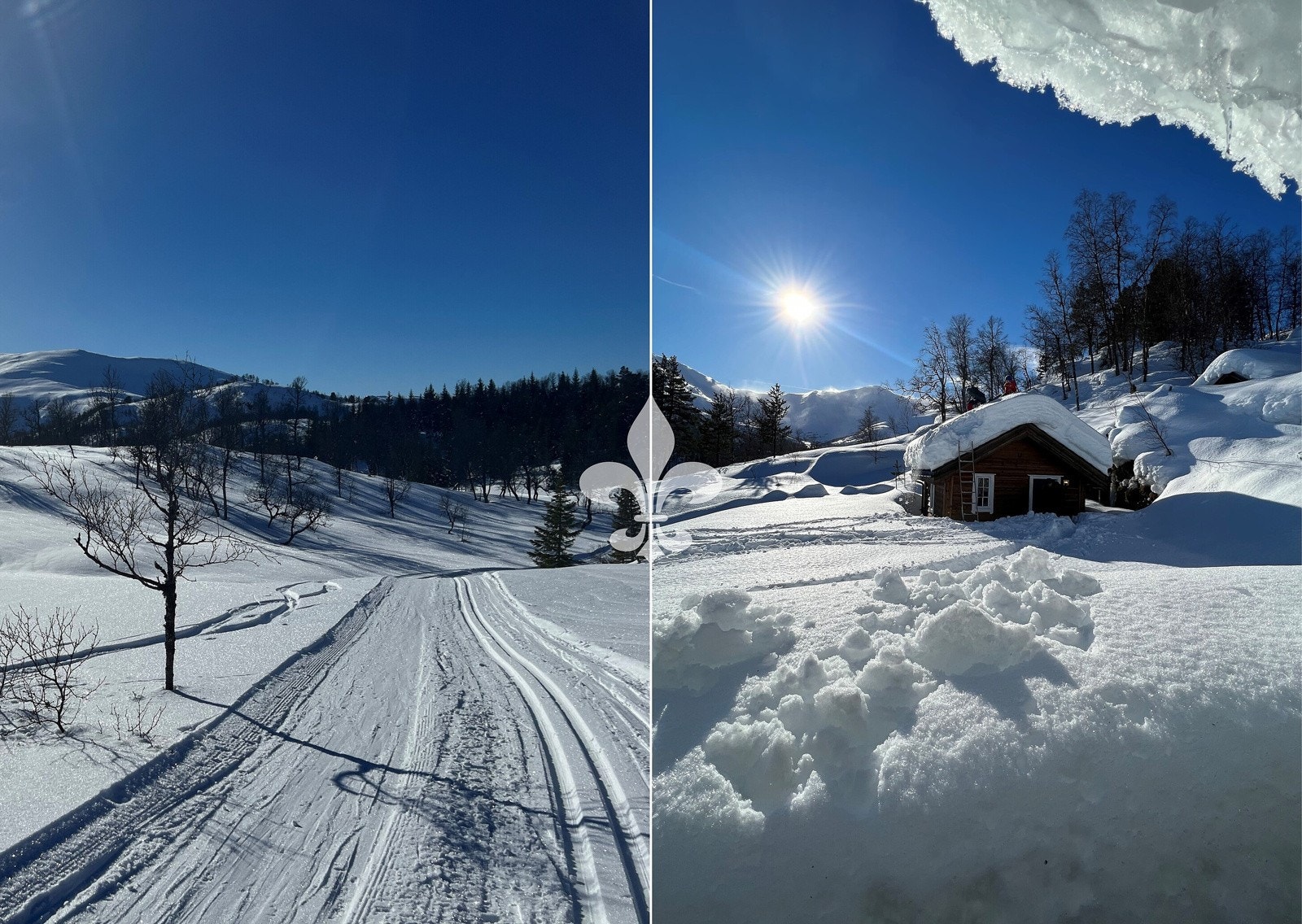 Om vinteren vil du elske skiløypene i åsen bak hytten og mangfoldet av toppturer som ligger i kort avstand til hytten. Galleribilde