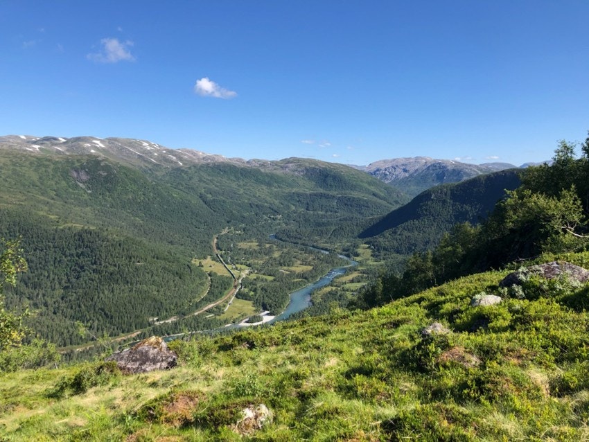 Nærområdet. Galleribilde