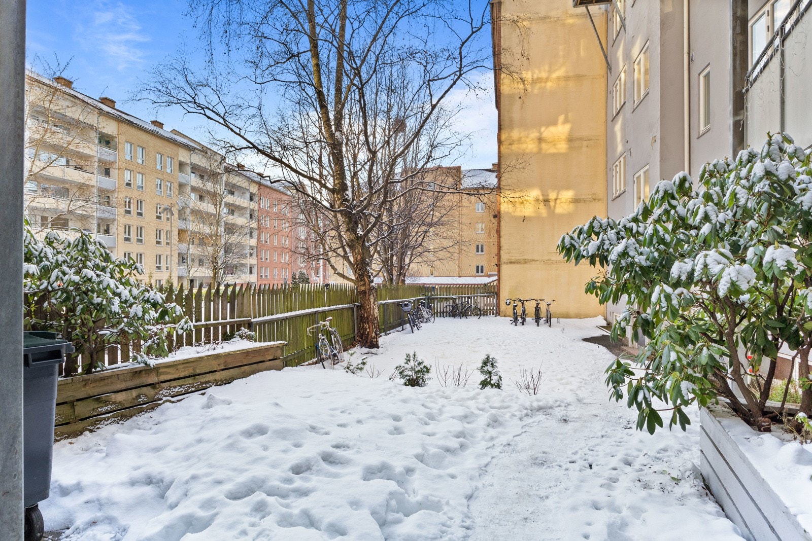 Bakgård Galleribilde