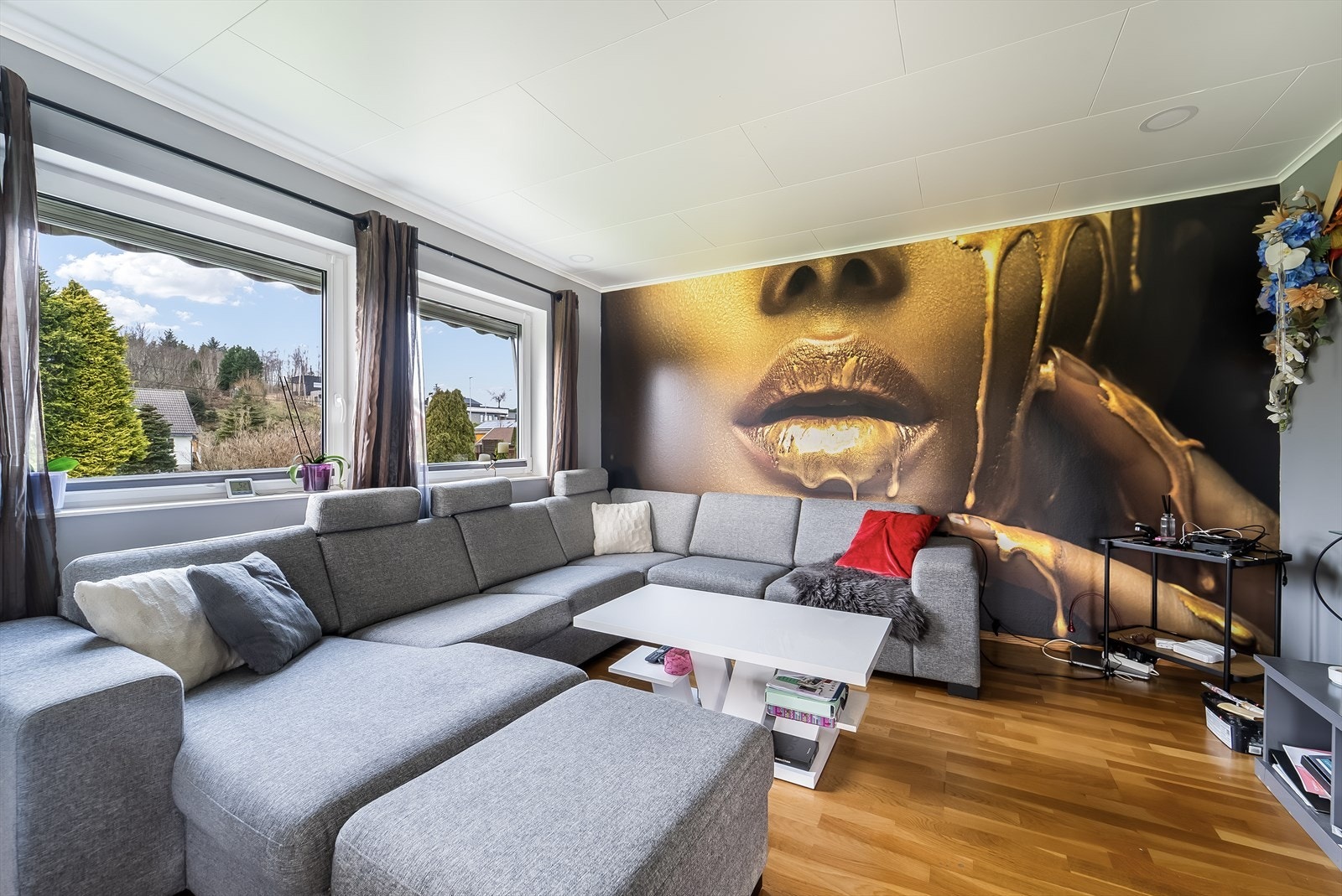 Stue Galleribilde