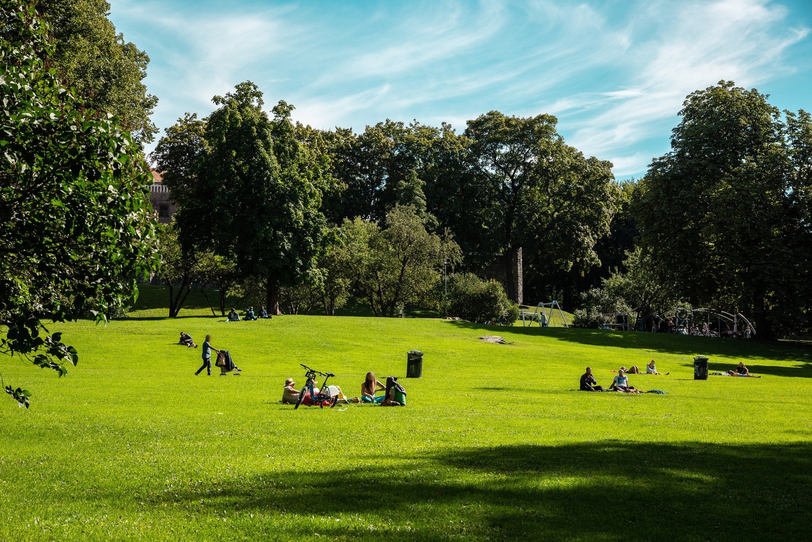 Nærområdet: Rett over veien ligger frodige Grønlandsparken. Galleribilde