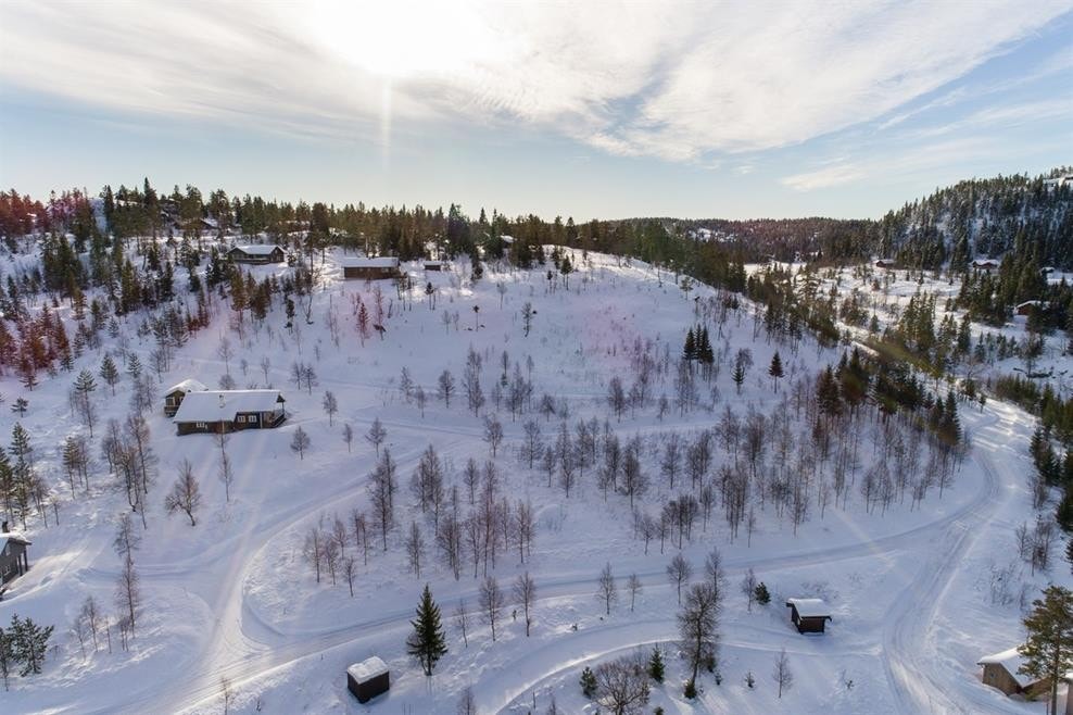 Middagslia - Felt A og B Galleribilde