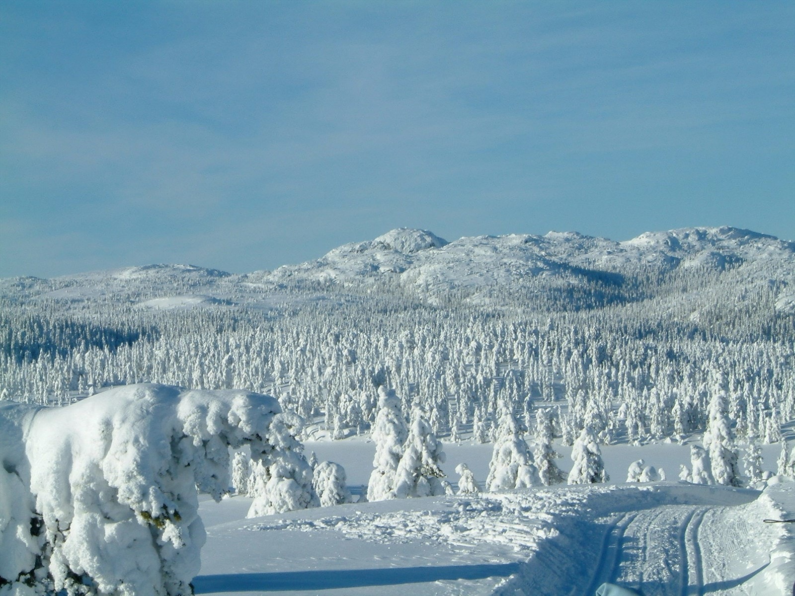 Nærområde - Vinterstemning - Skrim Galleribilde