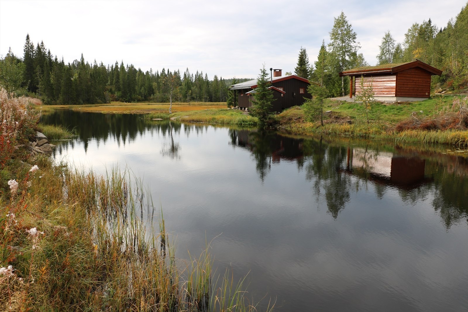 Nærområde - Stulstjern Galleribilde