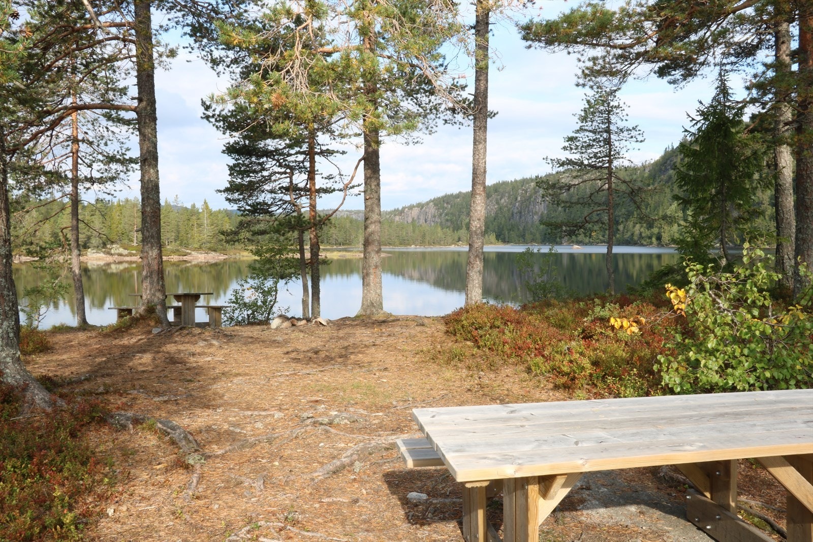 Nærområde - Vesle Stølevann Galleribilde