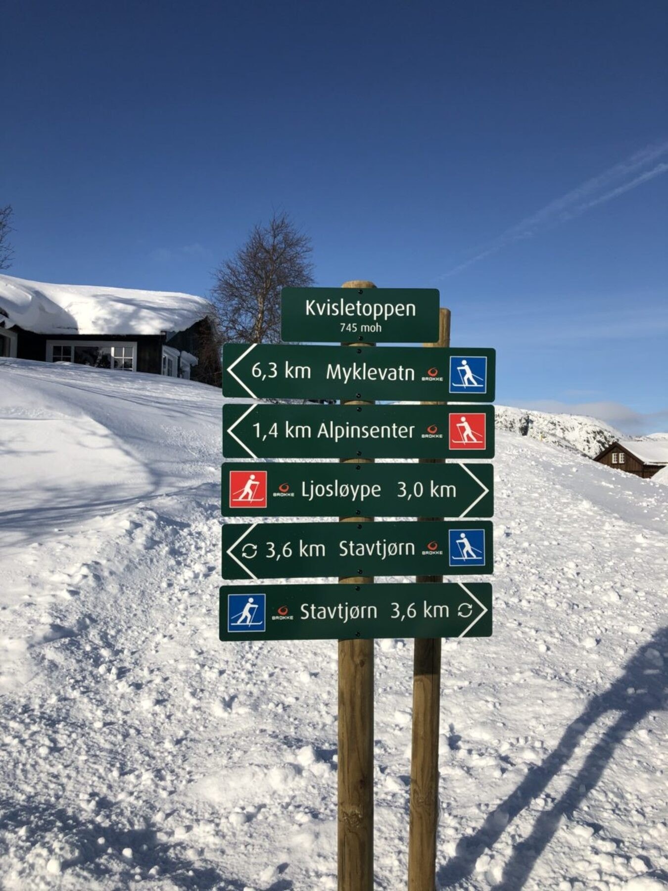 Løypenett i nærområdet (privat bilde) Galleribilde