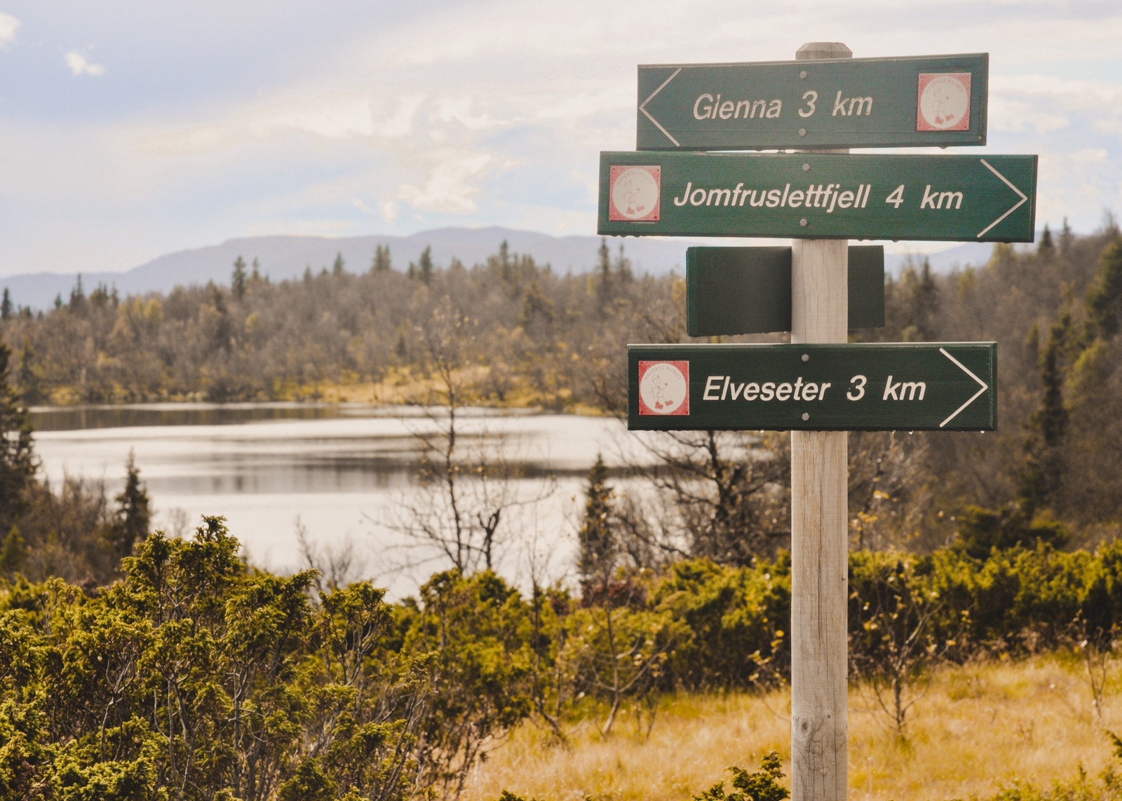 På sommeren er det utallige flotte turløyper i området. Galleribilde