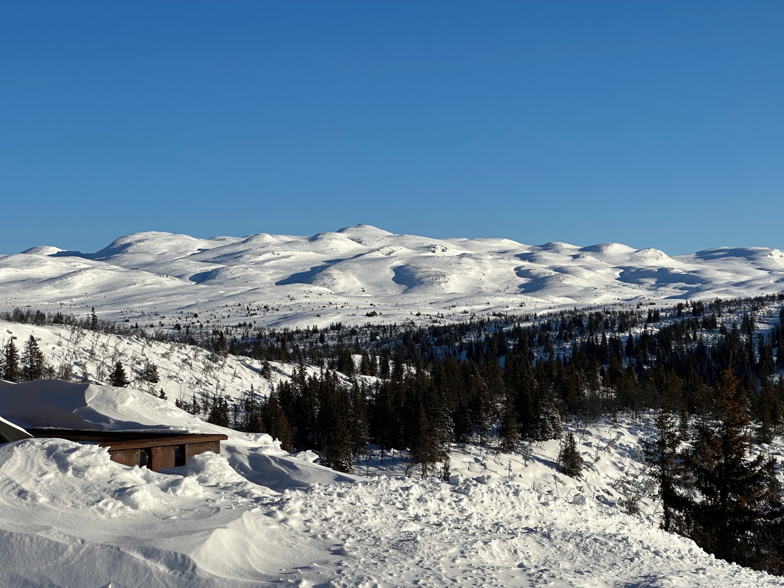 Områdebilde fra tomtens beliggenhet. Galleribilde