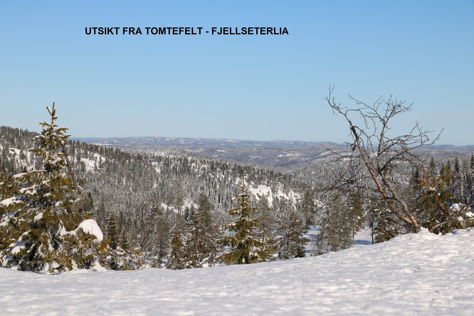 Utsikt fra tomtene Galleribilde