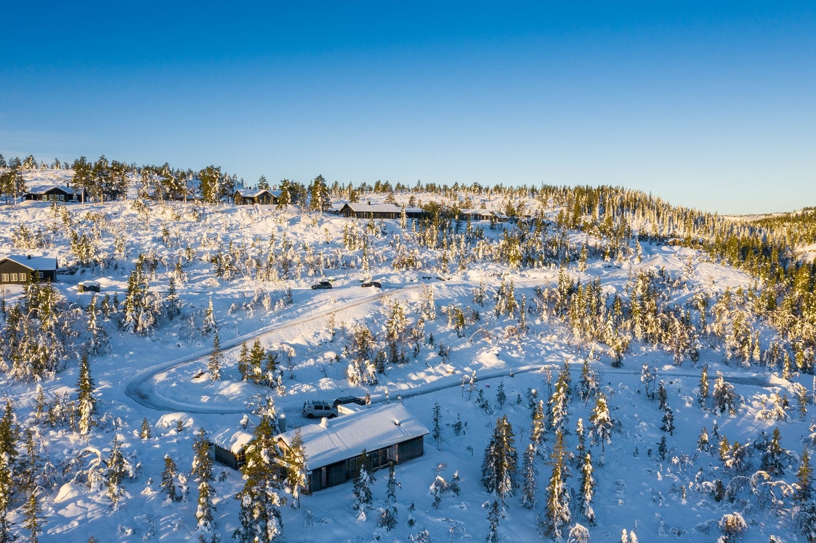 Fjellseterlia - Desember 2020 Galleribilde