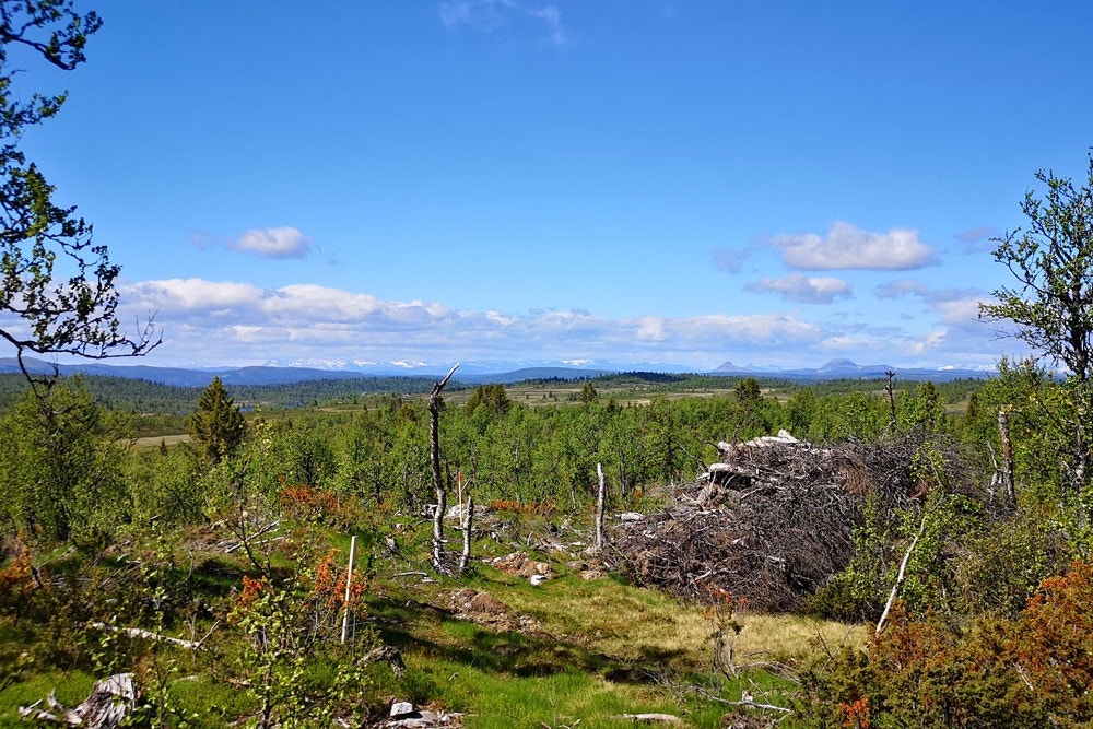 Utsyn mot vest. Galleribilde