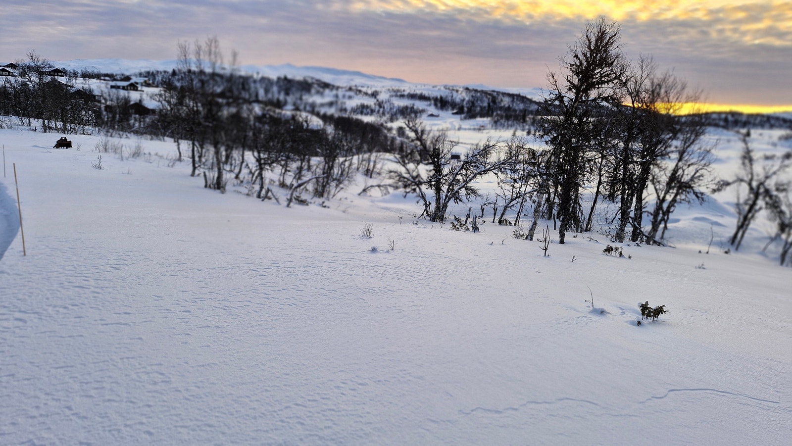 Fra tomt sett mot øst Galleribilde