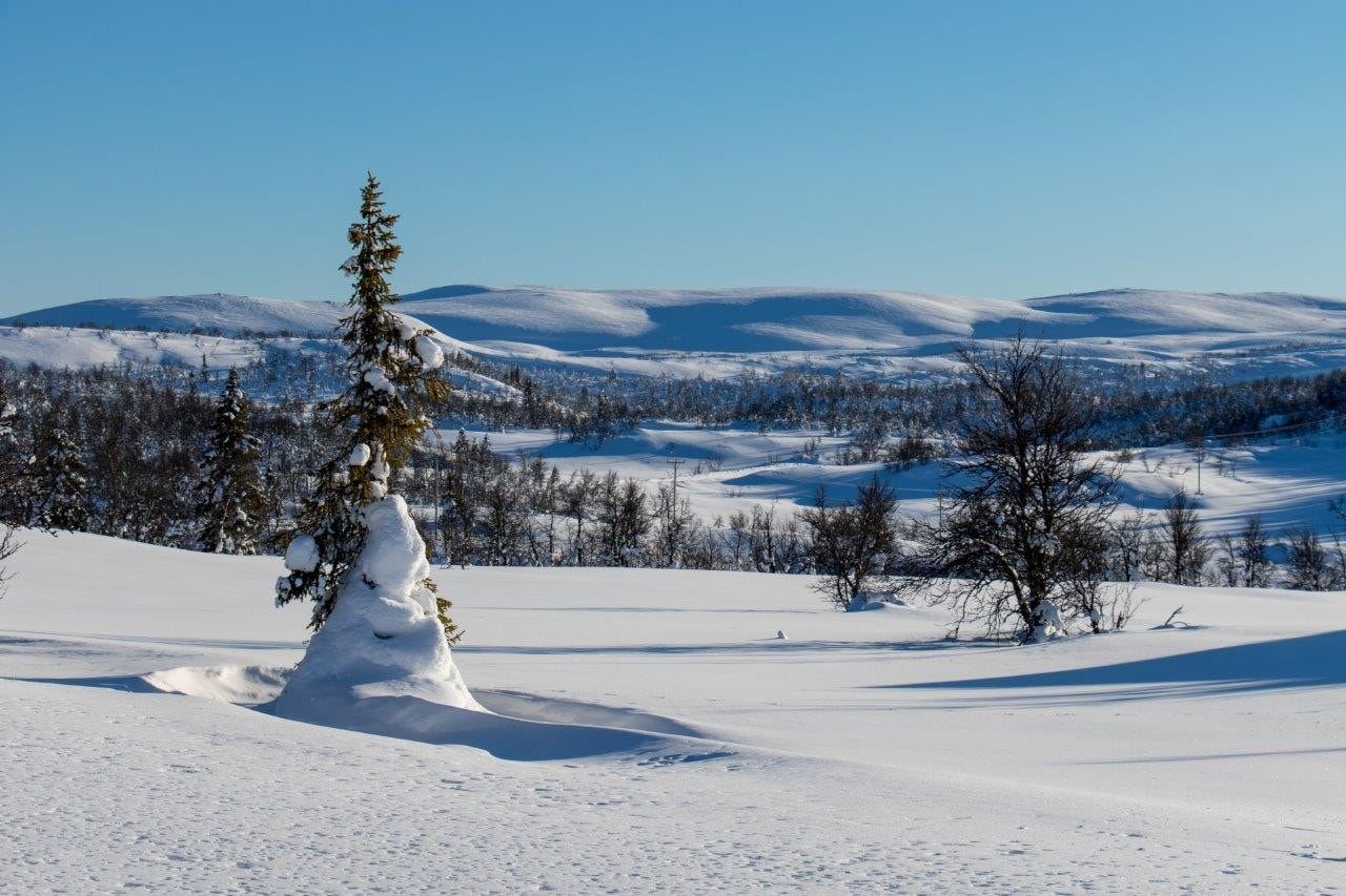 Utsyn fra tom mot sørøst. Galleribilde