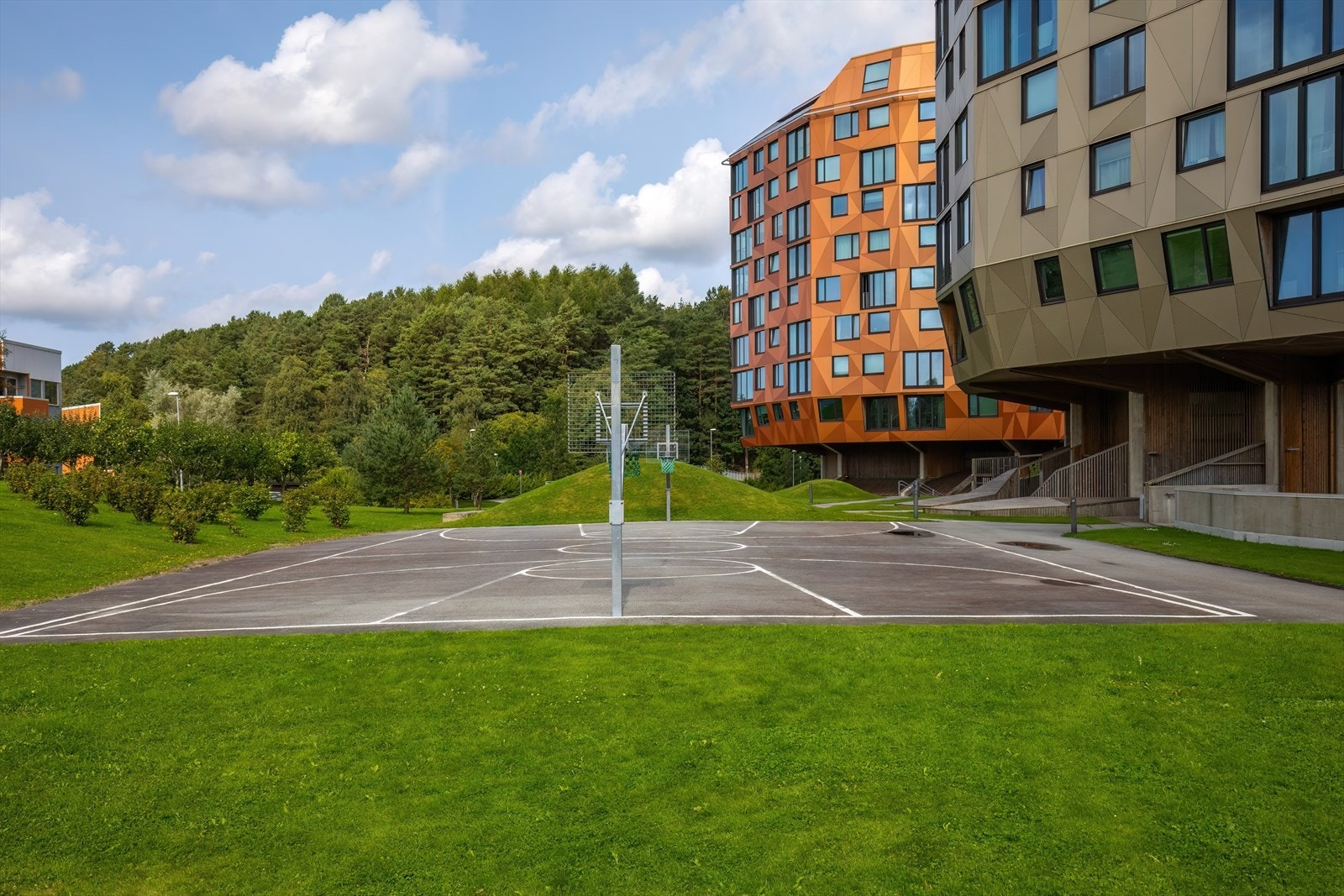 Nærområde Galleribilde