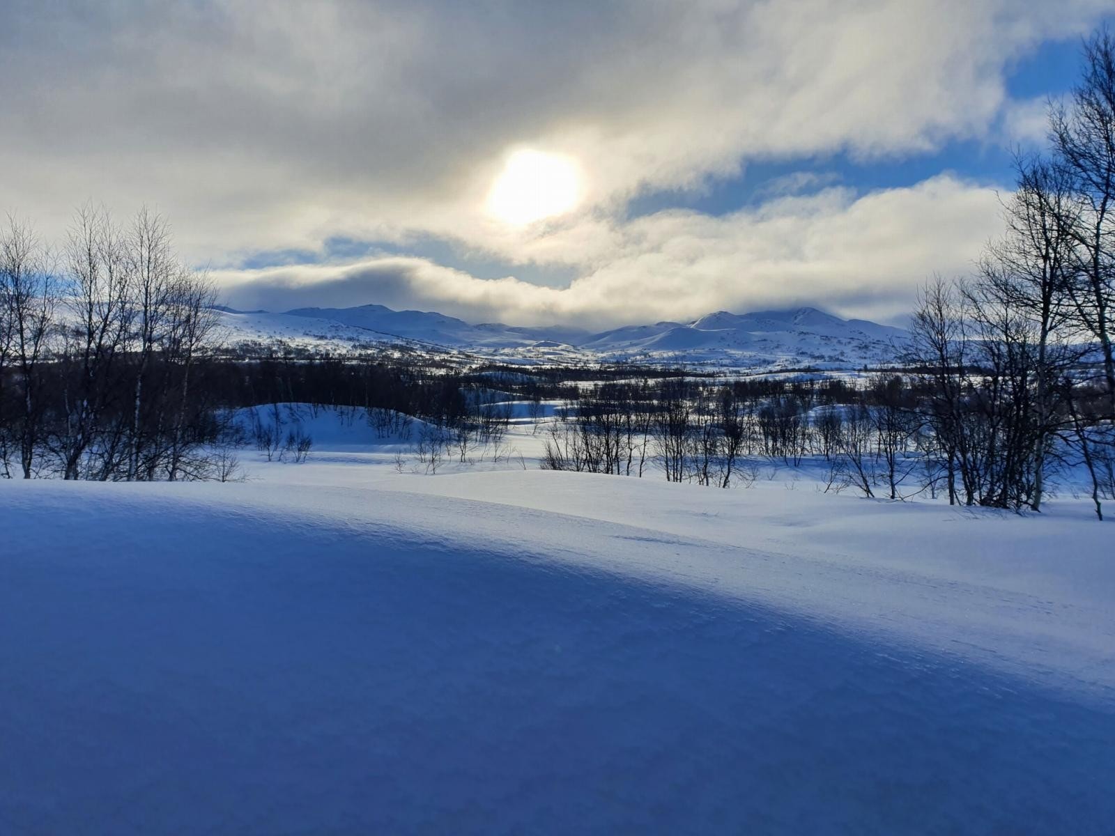 Eiers egne bilder - nærområdet Galleribilde