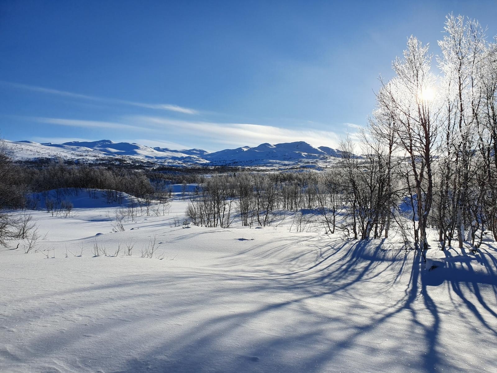 Eiers egne bilder - nærområdet Galleribilde