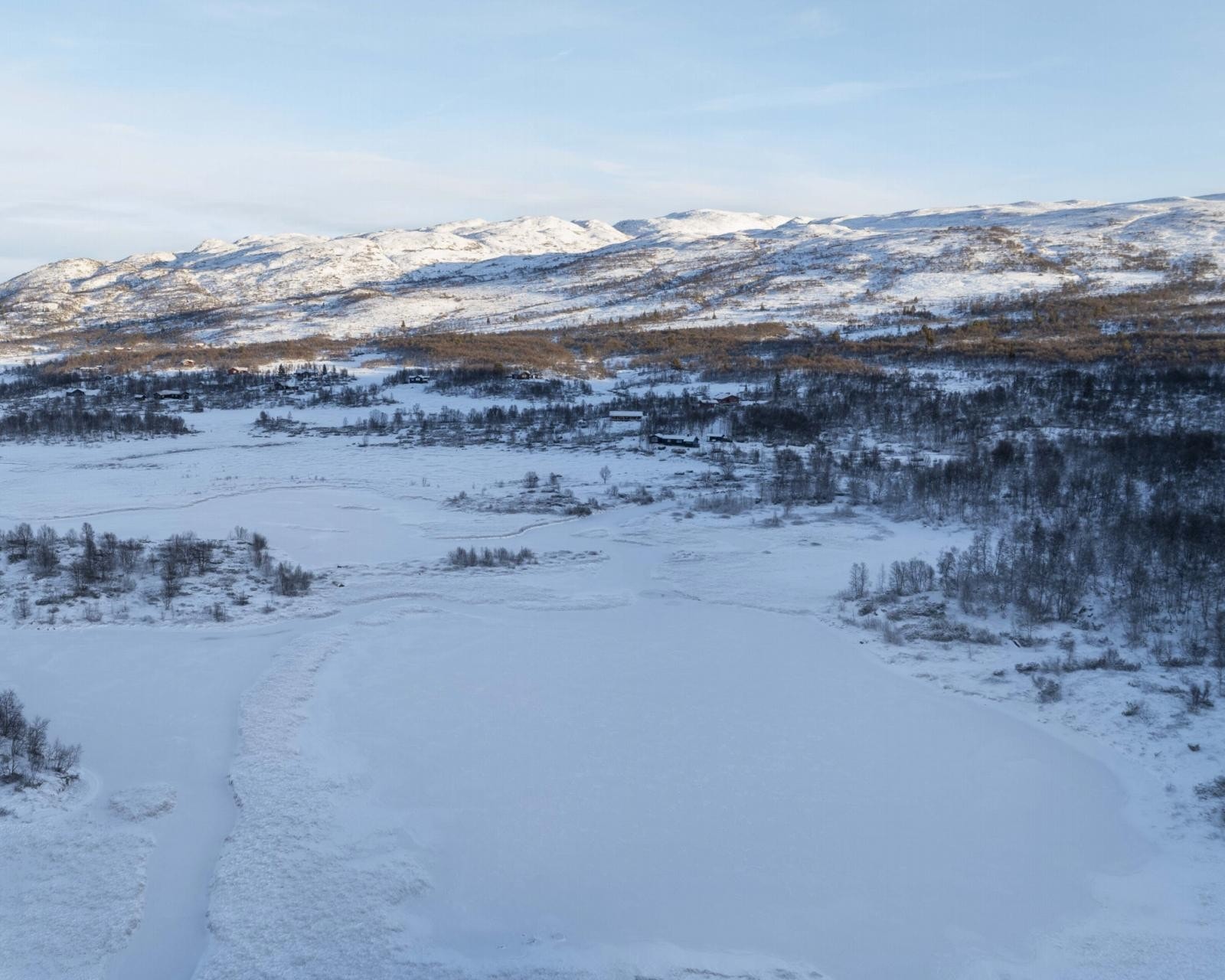 Vakre naturomgivelser Galleribilde