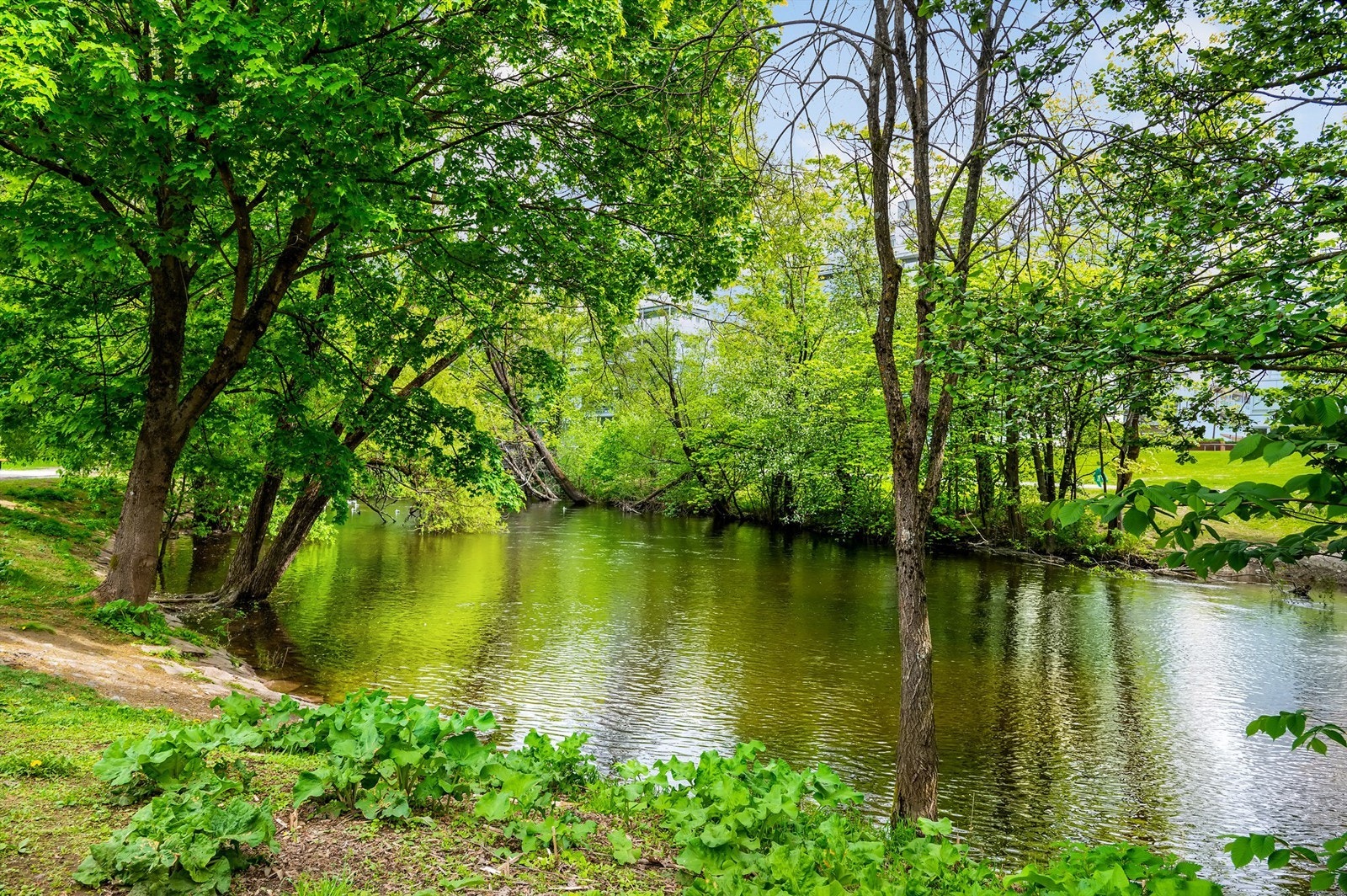 Som nærmeste nabo har du idylliske Akerselven Galleribilde