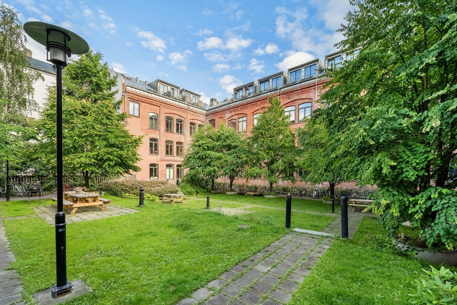 Sommerbilde av bakgård Galleribilde