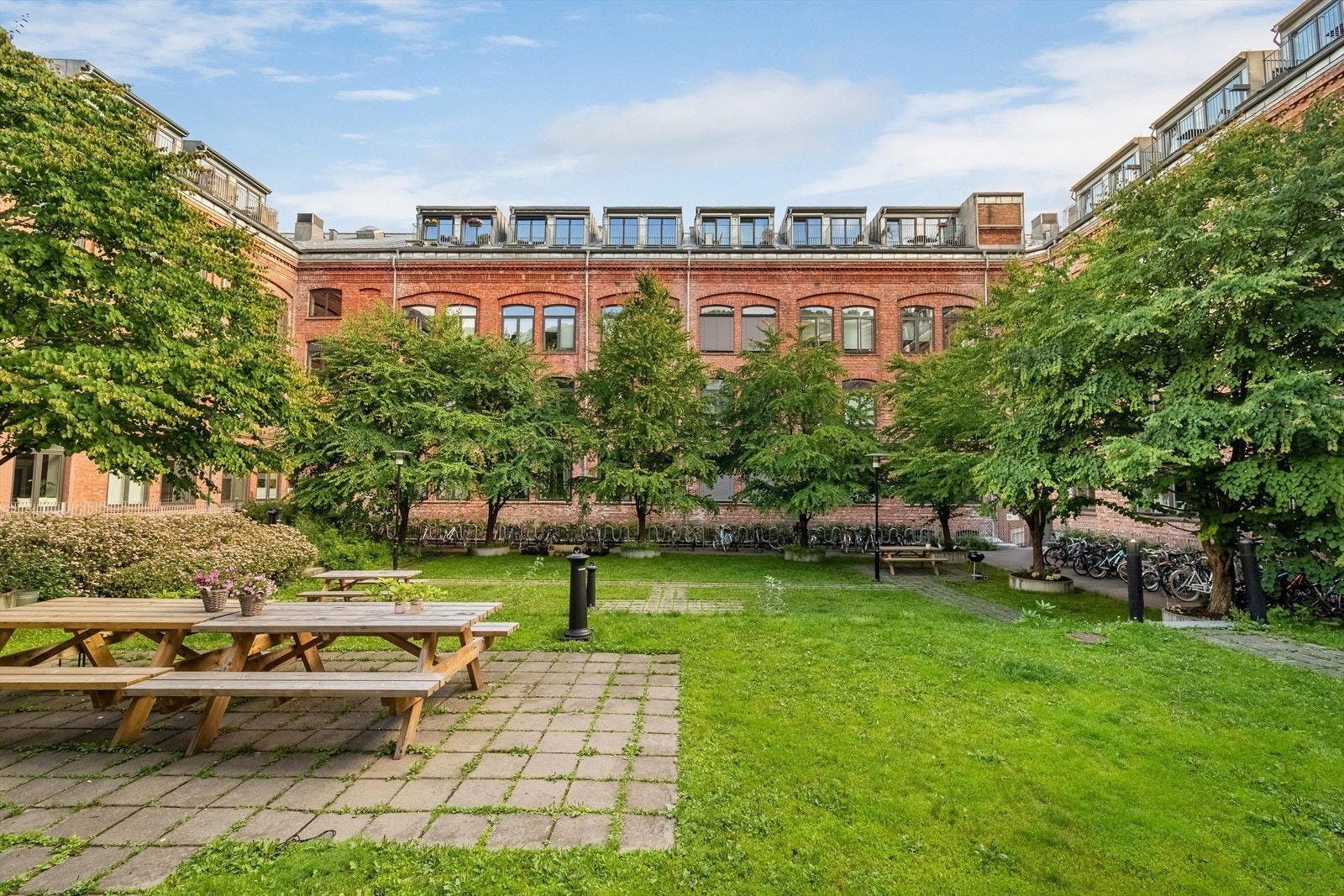 Sommerbilde av bakgård Galleribilde