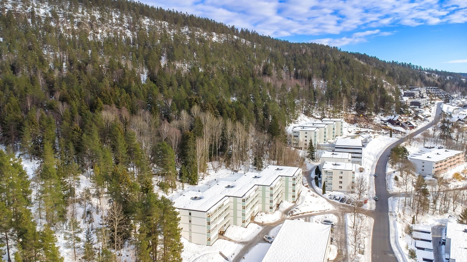 Nærhet til skogområder og turmuligheter rett utenfor døren. Galleribilde