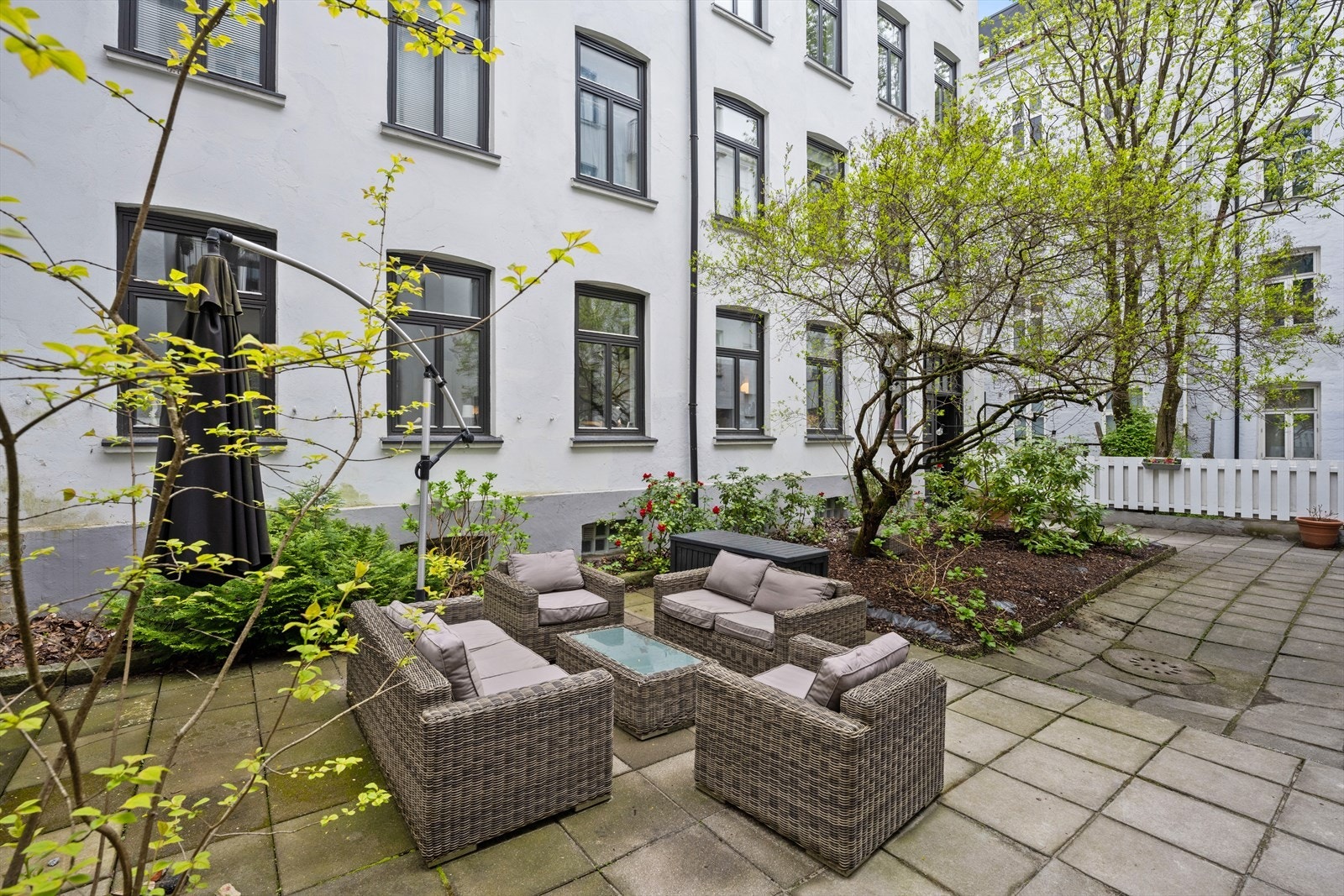 Grønn og frodig bakgård Galleribilde